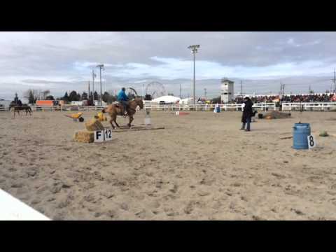 Extreme Cowboy class Pro Div Markham Fair 2015