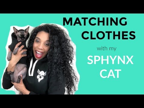 MATCHING OUTFITS WITH MY SPHYNX CAT
