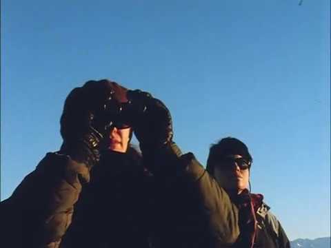 Voice Crack - Kick That Habit [1993]