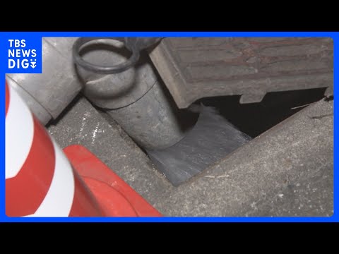 隣の庭から異臭が漂ってくる サービス