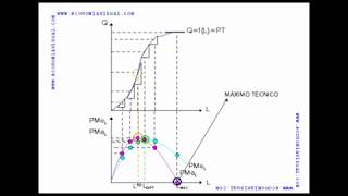 Miniatura de Producto Total, Producto Medio y Producto Marginal