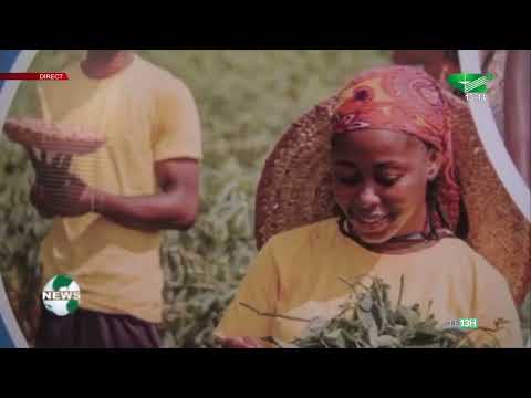 LE JOURNAL TÉLÉVISÉ BILINGUE 13H00 du Vendredi 07/10/2022 - Canal 2 international