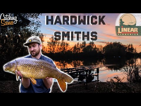 Linear Fisheries - Hardwick Smiths - Carp Fishing - Day Ticket Diary - Margin Fishing