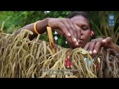 Saving Kimbe Bay's coral reefs through seaweed farming