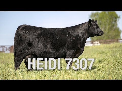 RUBETA HEIDI 7307