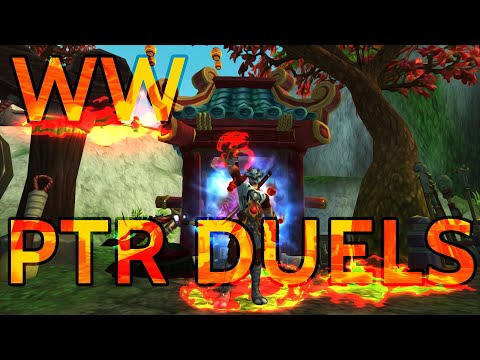 Windwalker DUELS [Shadowlands PTR]