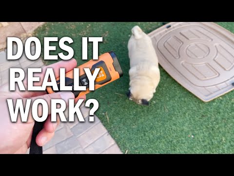 NPS 2023release Dog Bark Deterrent Device Review - Does It Really Work?
