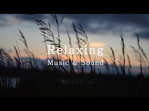 3HRS - Bach: Goldberg Variations, BWV 988: "Aria" l Relaxing Music l Beautiful Piano l Calm