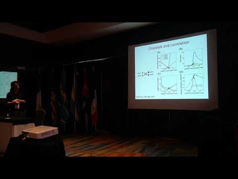 C. Bosia - Extrinsic microRNA noise as a driver of bimodal gene expression Part 2