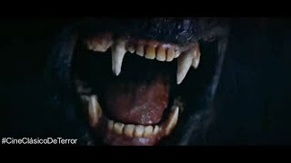 La muerte de Stella Randolh | "Silver Bullet" (1985)