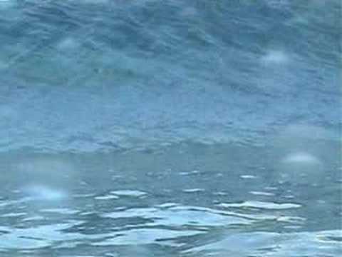 Natural reefing trip