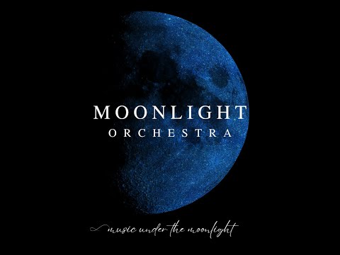 Moonlight Band Live Show