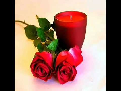 አላዛር አብዱ - ጸጋዬ እሸቱን "አንቺ ቀናተኛ"