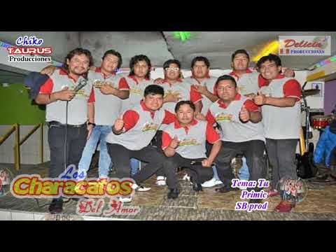 LOS CHARACATOS DEL AMOR - TU ME AMAS (AUDIO OFICIAL) EXCLUSIVO 2019 ***SB PRODUCCIONES***