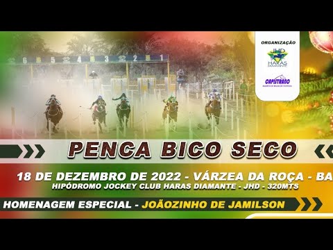 APRESENTAÇÃO DOS ANIMAIS - PENCA BICO SECO // HARAS DIAMANTE , VÁRZEA DA ROÇA - BAHIA