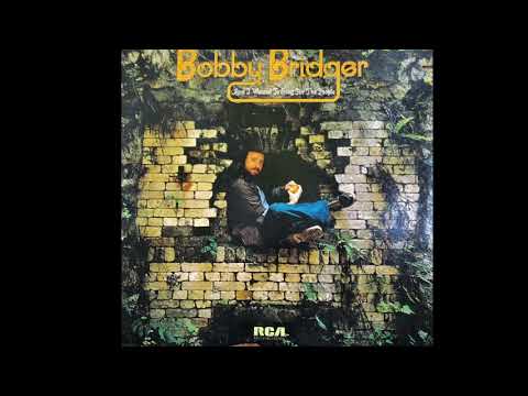 Bobby Bridger - And I Wanted To Sing For The People