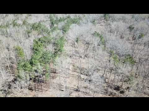 Archive 35 Video thumbnail