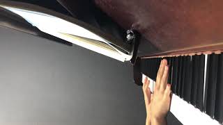 The Dolphin (Toots Thielemans &amp; Kenny Werner) cover