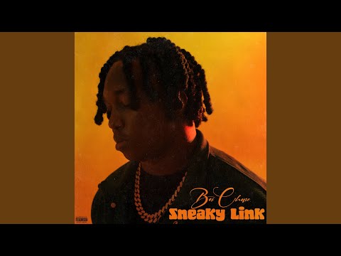 Sneaky Link