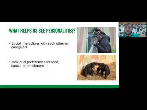 Virtual Webinar: Chimpanzee Personalities