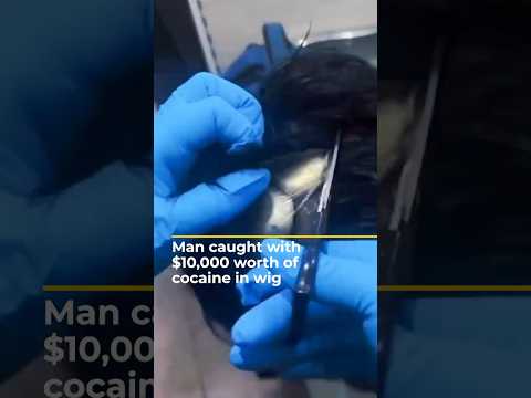 Man caught with $10,000 worth of cocaine in wig, say Colombian police