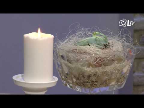 Razlog nade 4.2.2017.