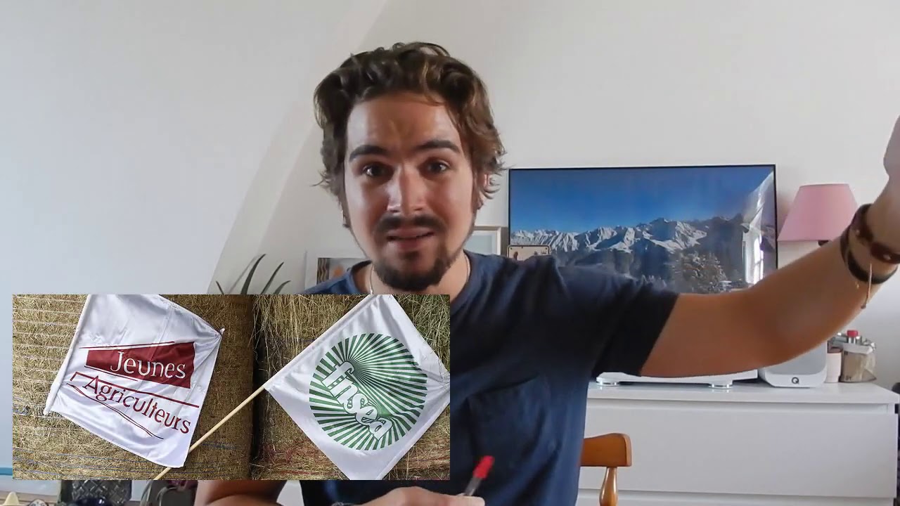 Quelle action publique pour l'environnement ? (Terminales SES)