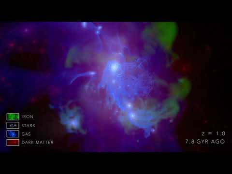 VINTERGATAN simulation - evolution (with legend)