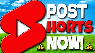 Start Posting SHORTS NOW If YOU Are A Small Channel - Here's Why 🤑