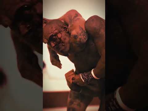 MATADOR STYLE #FIGHT #MMA #UFC #KINGOFTHESTREETS