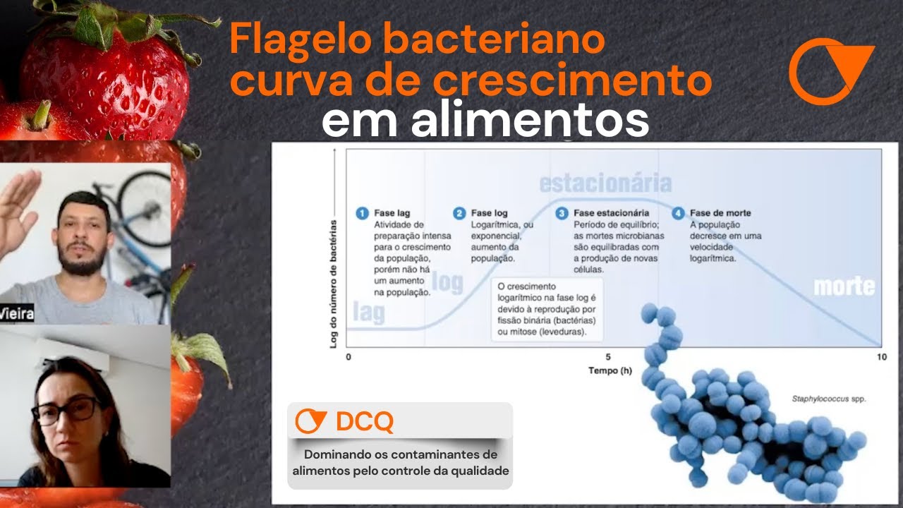 Flagelo bacteriano e curva de crescimento microbiano em alimentos