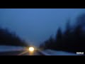 you must be a lion- marco benevento