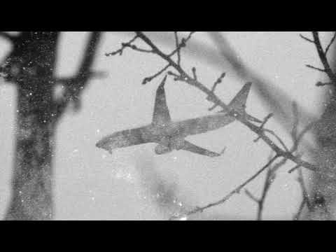 Cyter & wavetearz - Traveler [Official Audio]