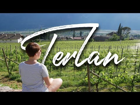 Start in ein neues Wanderabenteuer in Terlan & Hochbrunner Hof | Vlog #101 | SÜDTIROL 🇮🇹