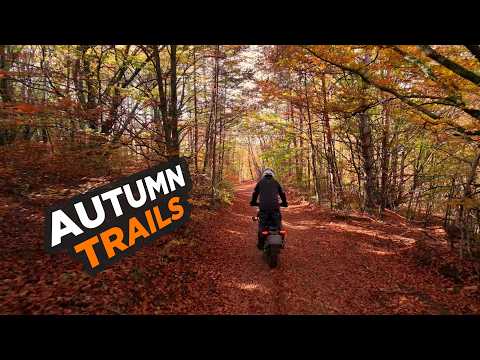 Autumn Trails Towards Ruy Peak - Himalayan 450 Solo Off-Road Ride