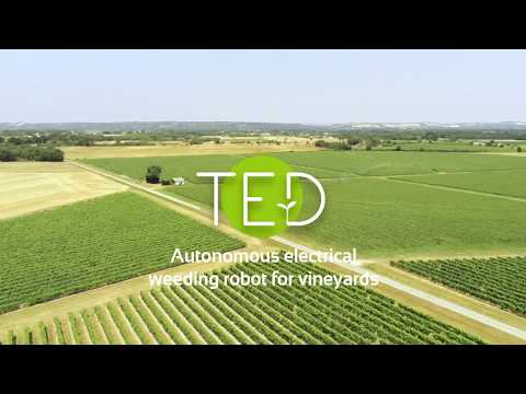 #Ted - 2019 - Autonomous Electrical Weeding Robot for Vineyards