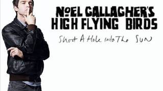 Noel Gallagher's High Flying Birds - Shoot A Hole Into The Sun