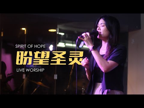 盼望圣灵 | Praise Lighthouse WORSHIP | 洪慧贤姐妹 