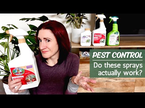 Which pest sprays ACTUALLY work? | Houseplant Pest Control