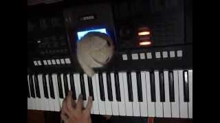 The Gazette - People Error - Piano Cover