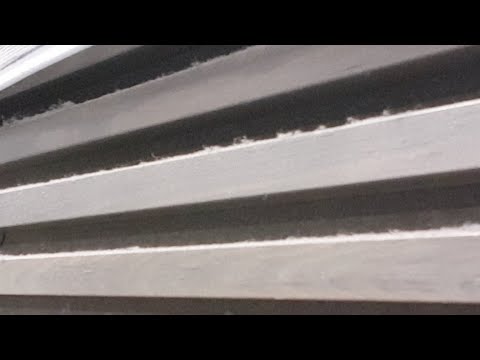 Oilers Tiikerit Oranssi