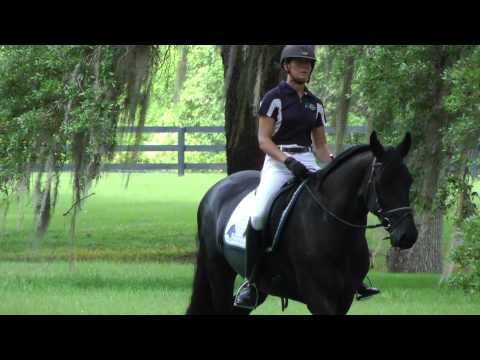 Jade ISF at Iron Spring South, Spring 2015 - SOLD!