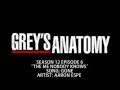 Grey's Anatomy S12E06 - Gone by Aaron Espe