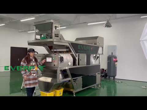 Date sorting machine