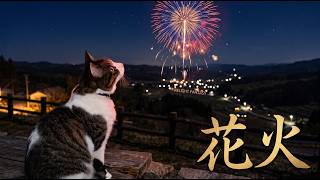 [コーちゃんとばぁばの日常vlog]コーちゃんのクン活、花火を見る、甘い香りに誘われる蝶々　[レイちゃんちのネコ達]