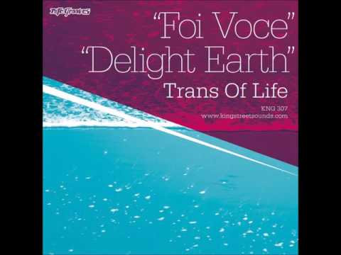 Trans Of Life - Foi Voce (TOL Vocal)