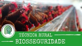 Miniatura do vídeo