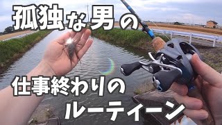 【vlog】仕事終わってからの孤独な男のルーティン｜社会人ぼっち / 友達いない / japan vlog