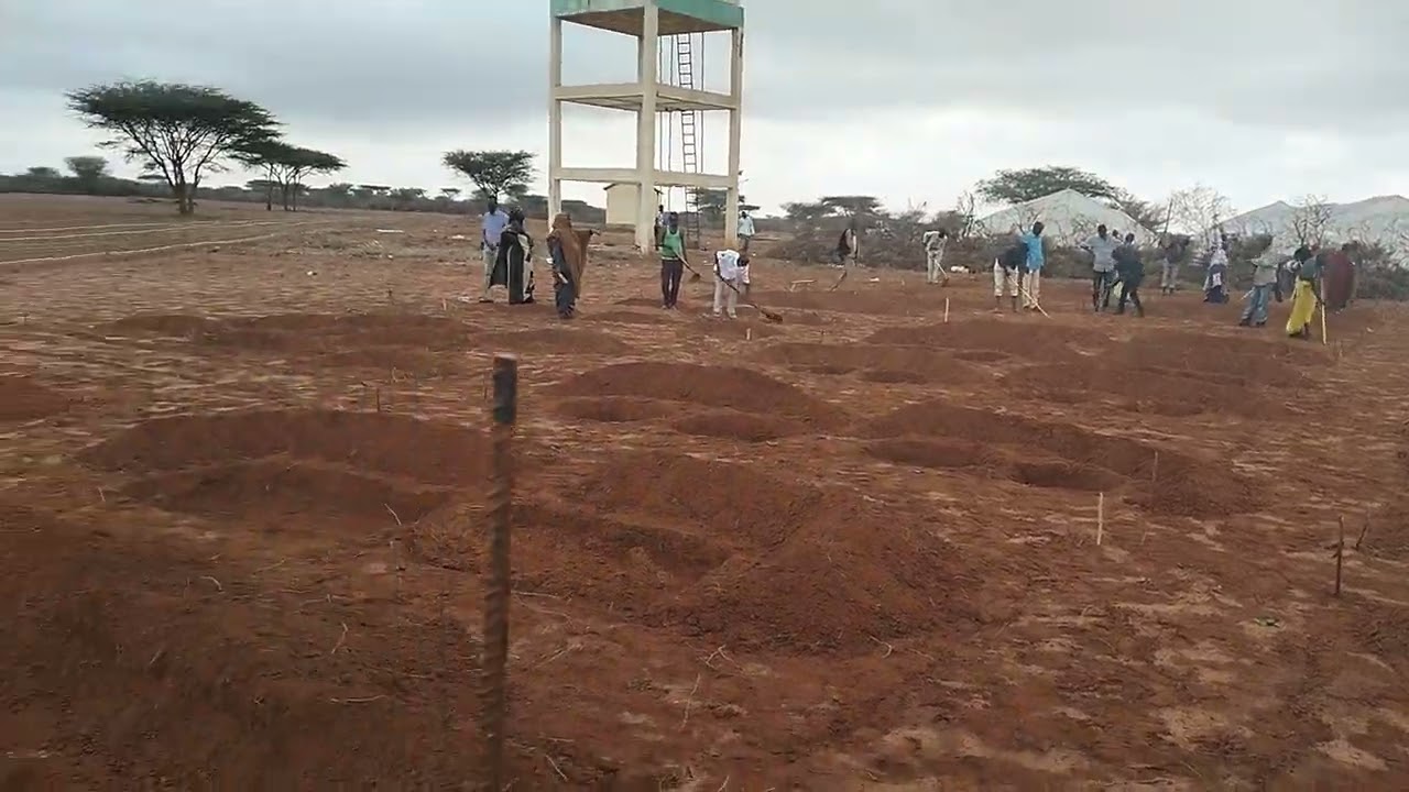 Water Harvesting and Land management for pasture production in Somaliland.