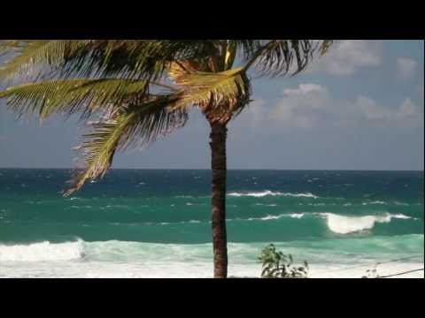 RAIL TO RAIL - Movie Trailer - FANATIC